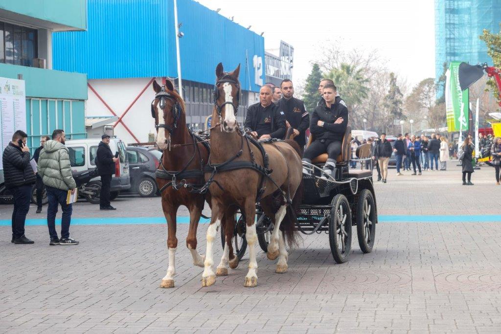 Zootechnia: Εντυπωσιάζουν τα άλογα – Σήμερα η βόλτα στην πόλη (ΦΩΤΟ)