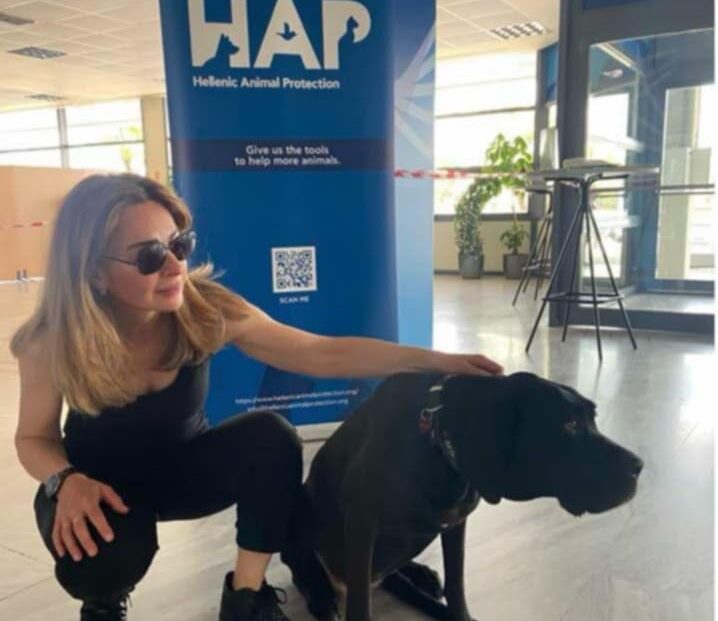 Η Hellenic Animal Protection στο Money Show 2025 στη Θεσσαλονίκη