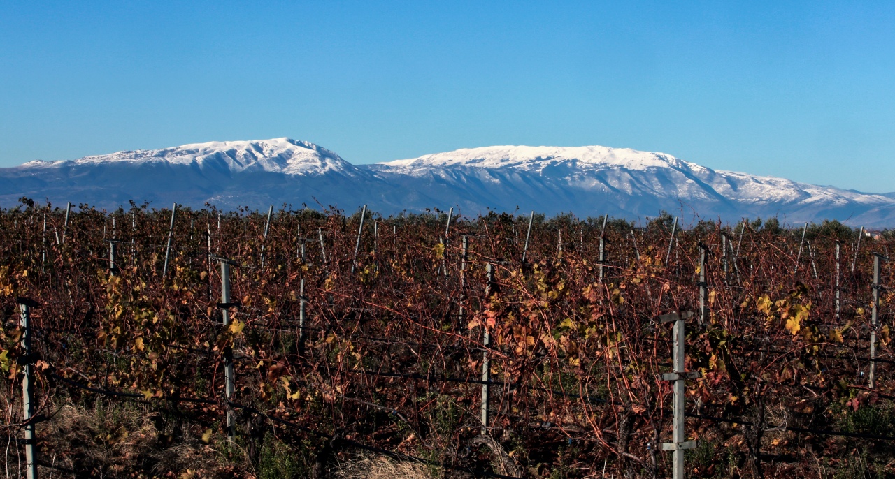 «Όχι στην υποβάθμιση του Όρους Μενοίκιο με πρόσχημα την εγκατάσταση ανεμογεννητριών»