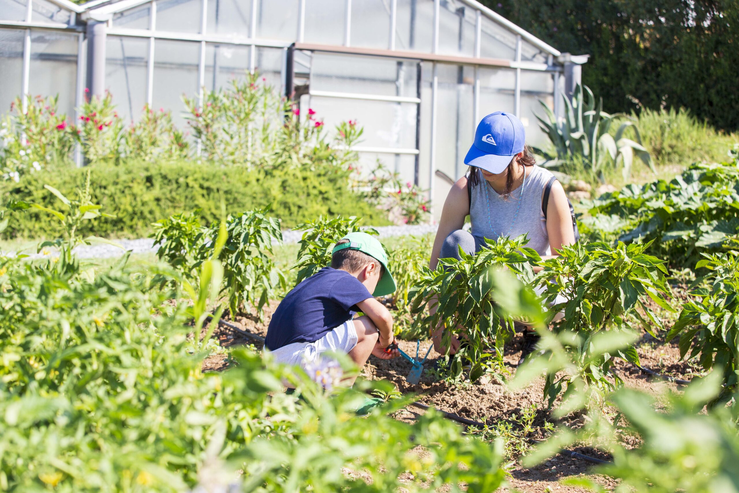 «Καλοκαίρι στο Αγρόκτημα 2025» από την Αμερικανική Γεωργική Σχολή