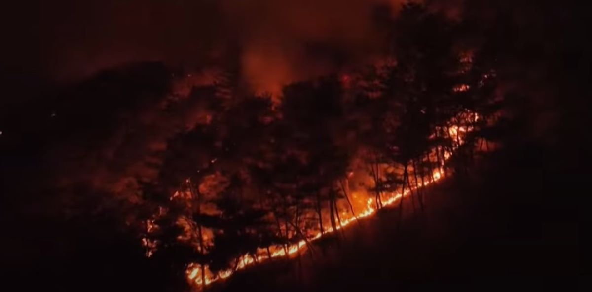 Νότια Κορέα: Στους 26 οι νεκροί από τις «πιο καταστροφικές φωτιές που έπληξαν ποτέ τη χώρα»