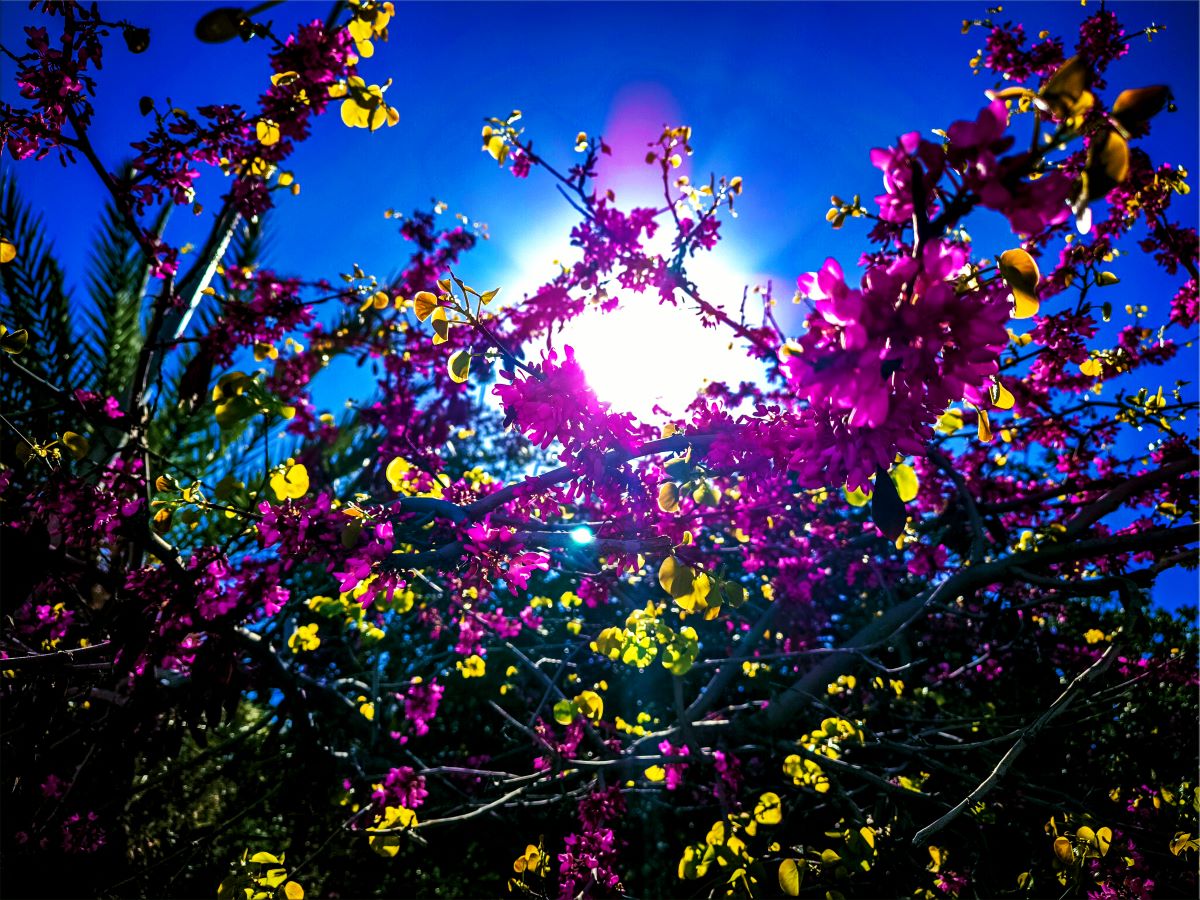 3 ζώδια που θα αναγεννηθούν μέχρι το τέλος της άνοιξης