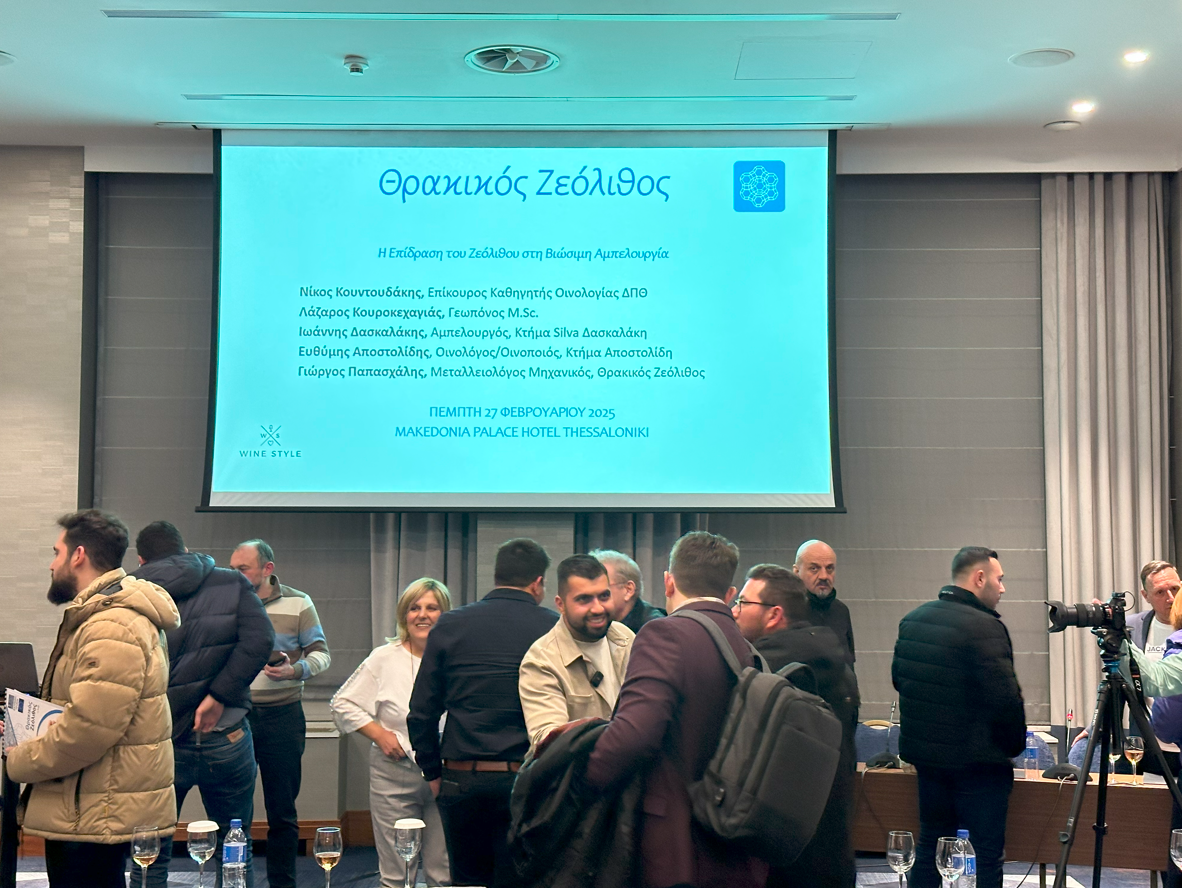Το πέτρωμα των εκατομμυρίων ετών που γίνεται ο καλύτερος «σύμμαχος» της αμπελουργίας