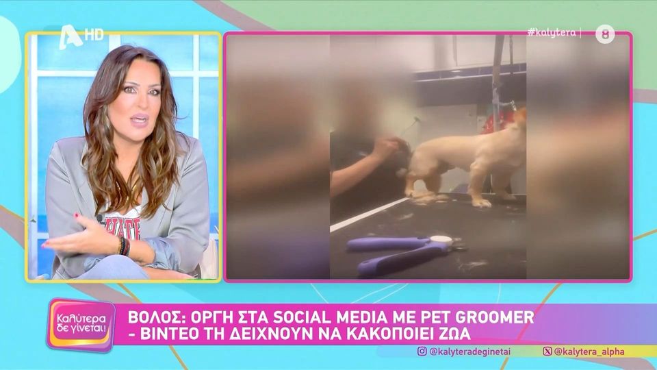 Ν. Γερμανού: Να πάρουν ένα λούτρινο να του φέρονται όπως θέλουν – Ας αφήσουν τα σκυλιά (VIDEO)