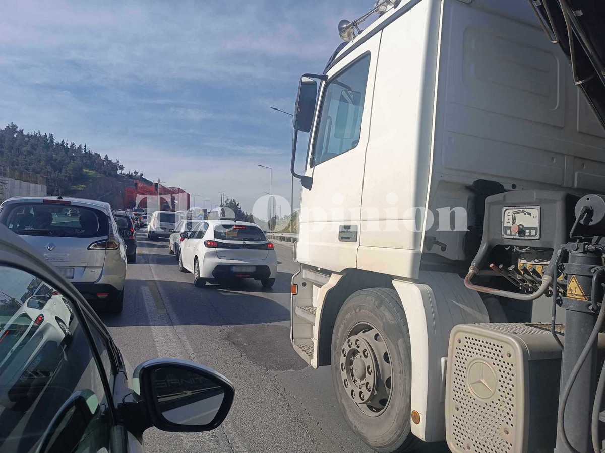 Απίστευτο: Ένα… μοσχαράκι προκαλεί αναστάτωση στην εθνική οδό