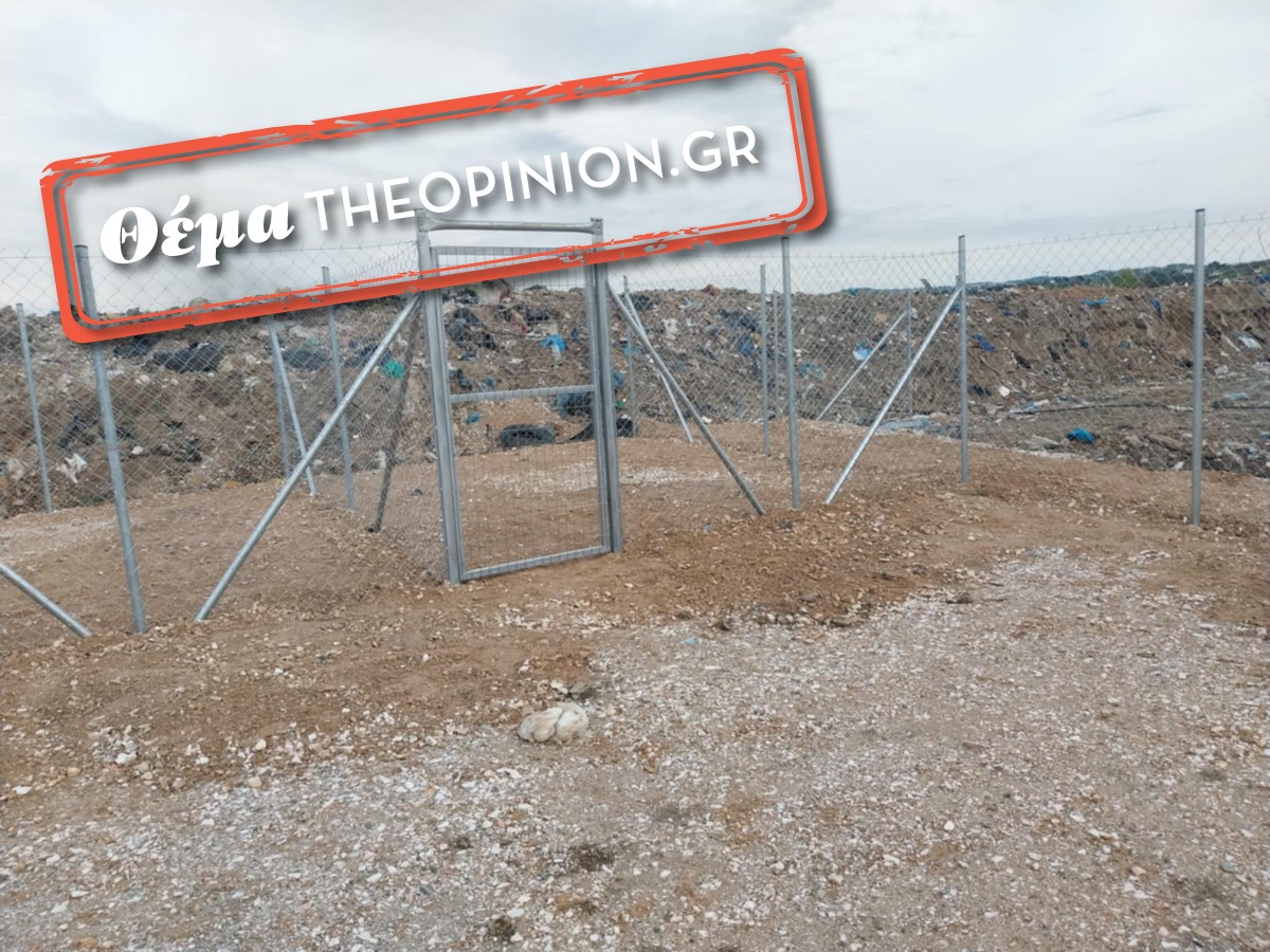 ThessIntec: Οριστική λύση ή «μπάλωμα» η μεταφορά των αδέσποτων σκύλων;