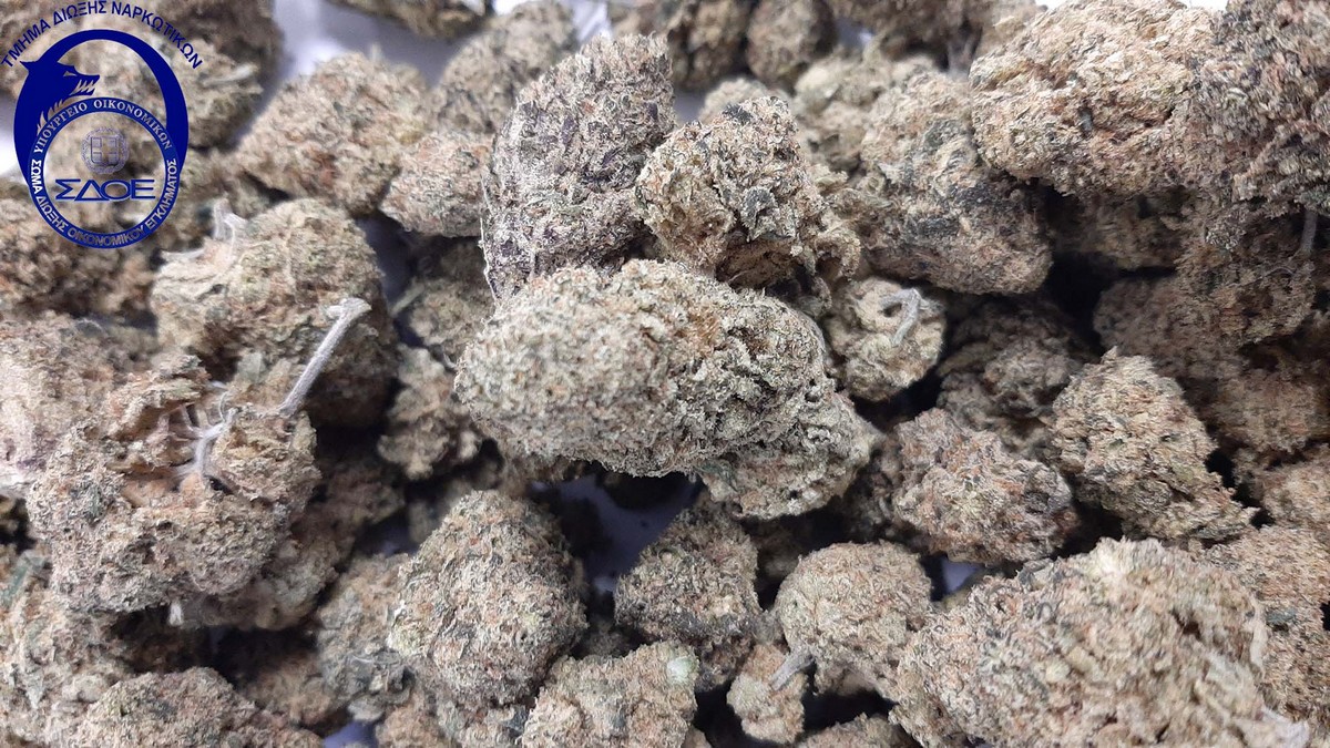 Νέο «σαφάρι» της ΕΛΑΣ στη «μάχη» κατά του εμπορίου ναρκωτικών – 46 συλλήψεις στη Θεσσαλονίκη