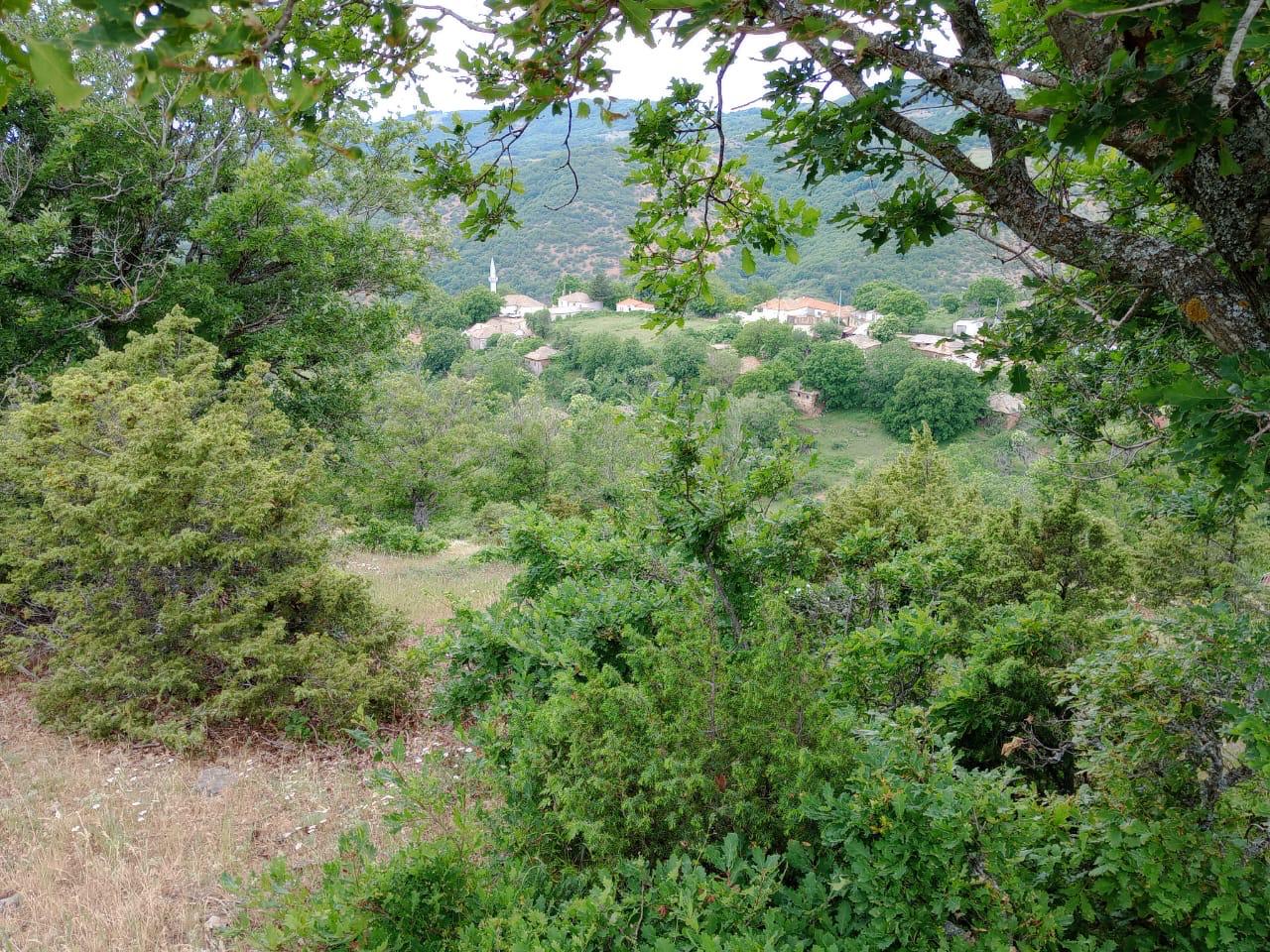 Σε αυτό το παράπηγμα κρυβόταν ο 49χρονος Τούρκος (ΦΩΤΟ-ΒΙΝΤΕΟ)