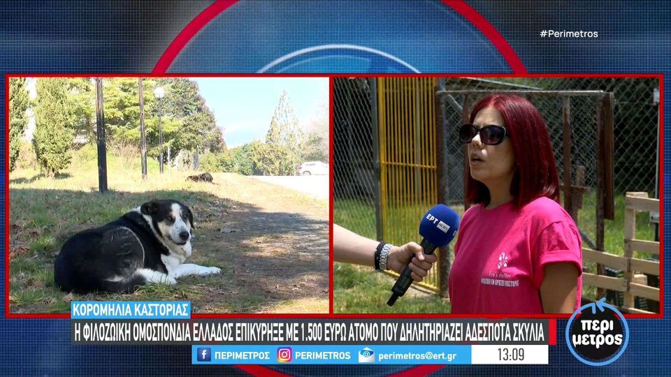 Καστοριά: Επικήρυξαν άτομο που δηλητηριάζει αδέσποτα σκυλιά (VIDEO)