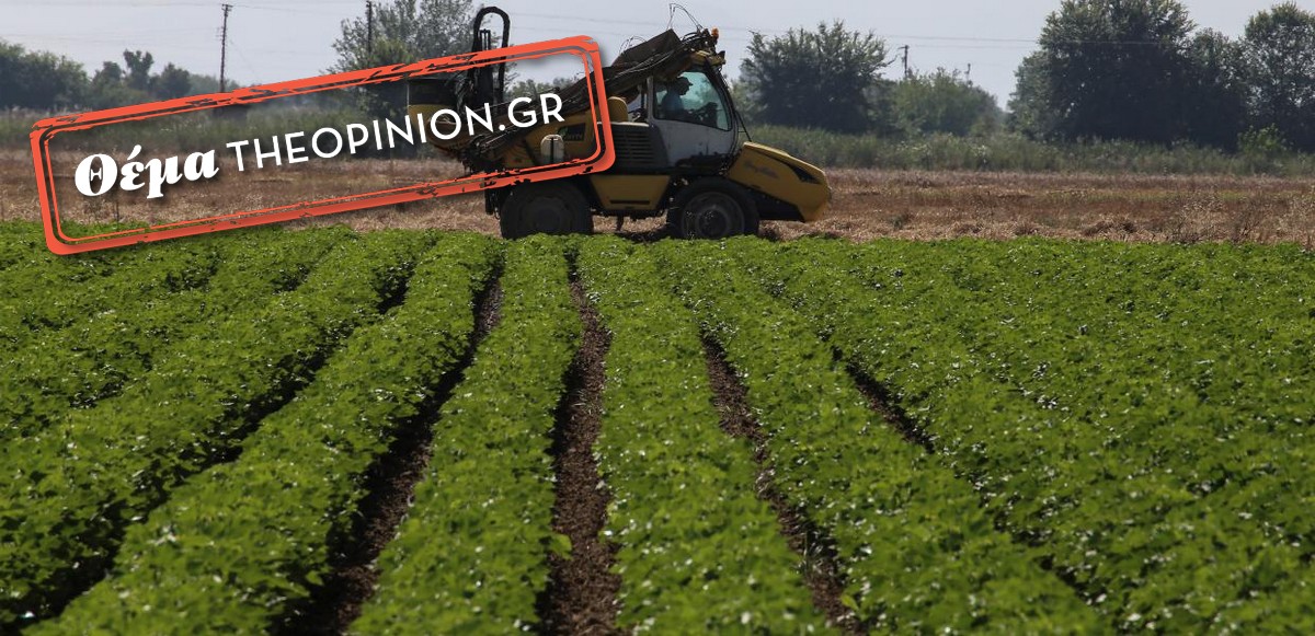 Σε αδιέξοδο οι αγρότες της Κεντρικής Μακεδονίας – Χάνουν επιδοτήσεις λόγω άλυτων κληρονομικών και γραφειοκρατίας