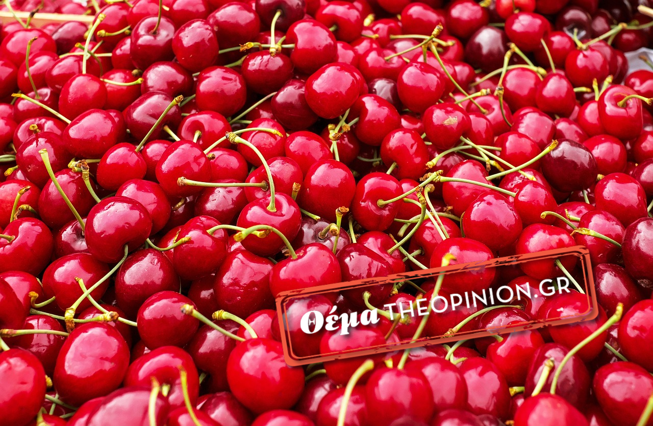 Από τον κάμπο στο… ταμείο – Πώς το κεράσι έγινε πανάκριβο ακόμη και στη λαϊκή