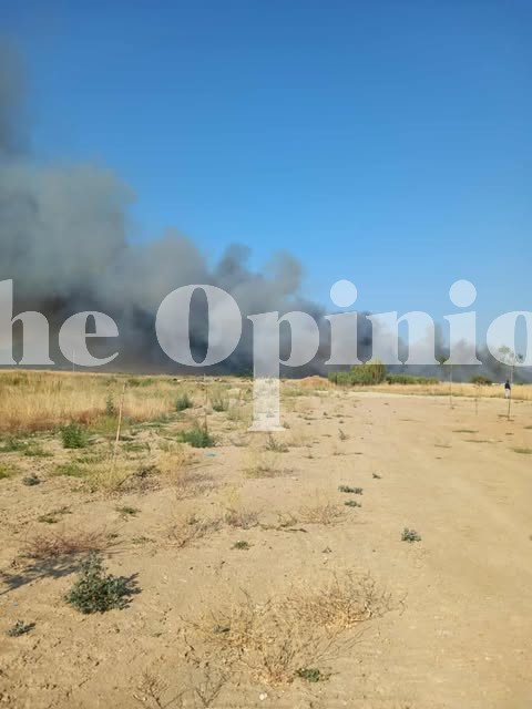 Θεσσαλονίκη: Εξακολουθεί να καίει η φωτιά στα Τσαΐρια (ΦΩΤΟ+VIDEO)