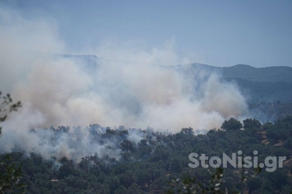 Μυτιλήνη: Μαίνεται η μάχη με τις φλόγες (VIDEO)