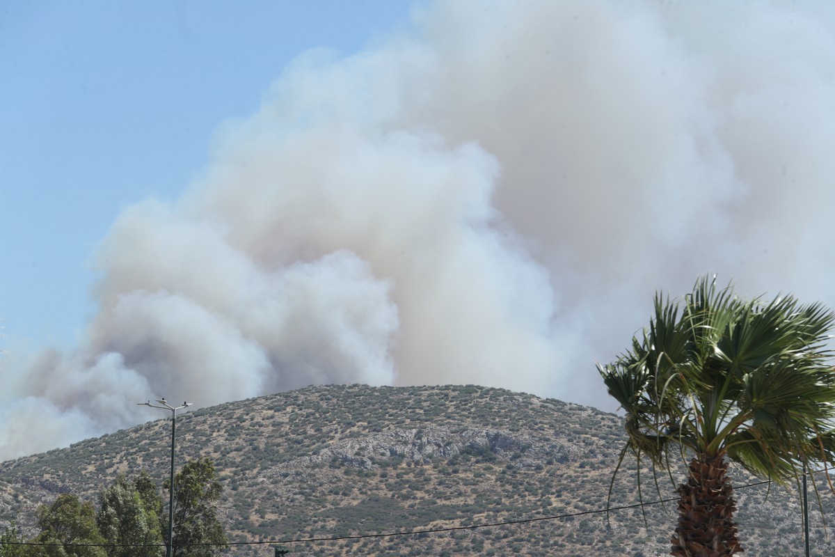 Στις φλόγες τυλίχθηκαν σπίτια στην Αττική – Μήνυμα του 112 για εκκένωση (VIDEO)