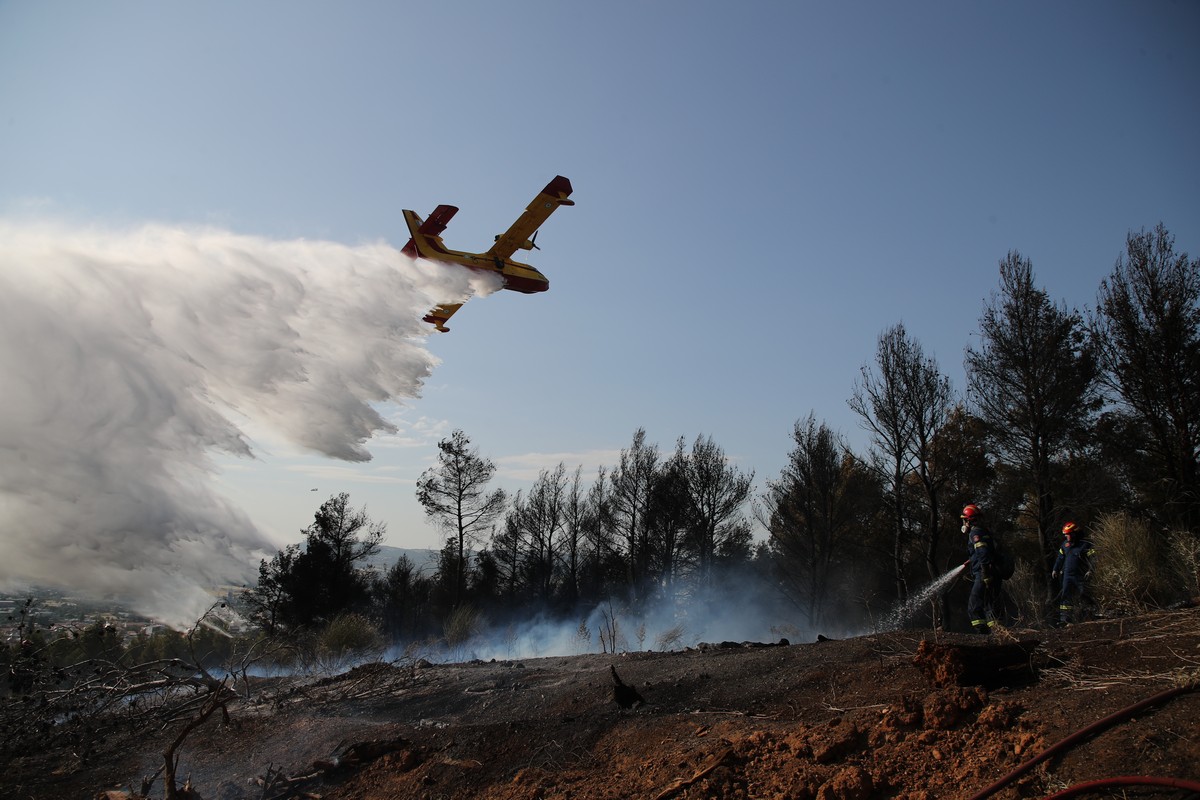 Οριοθετήθηκε η φωτιά σε δασική έκταση στη Δράμα
