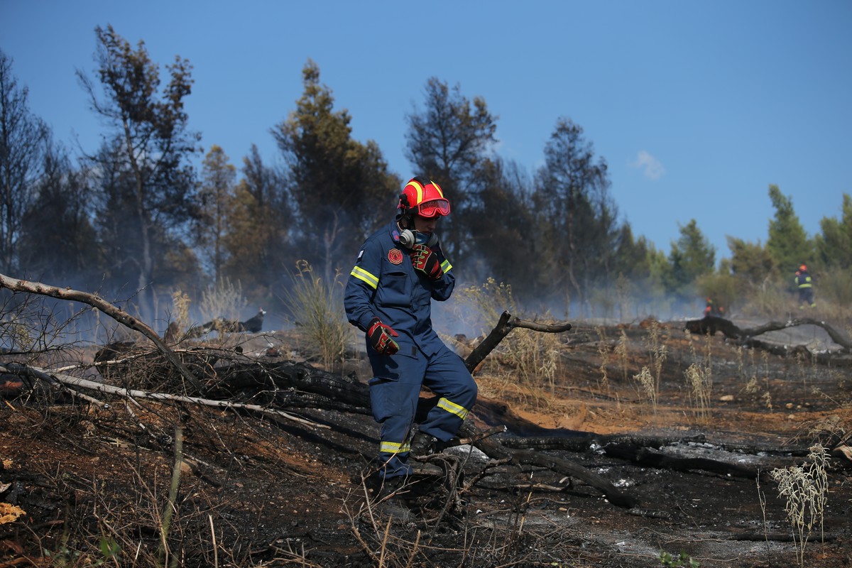 Υπό μερικό έλεγχο η φωτιά στη Μεσσηνία