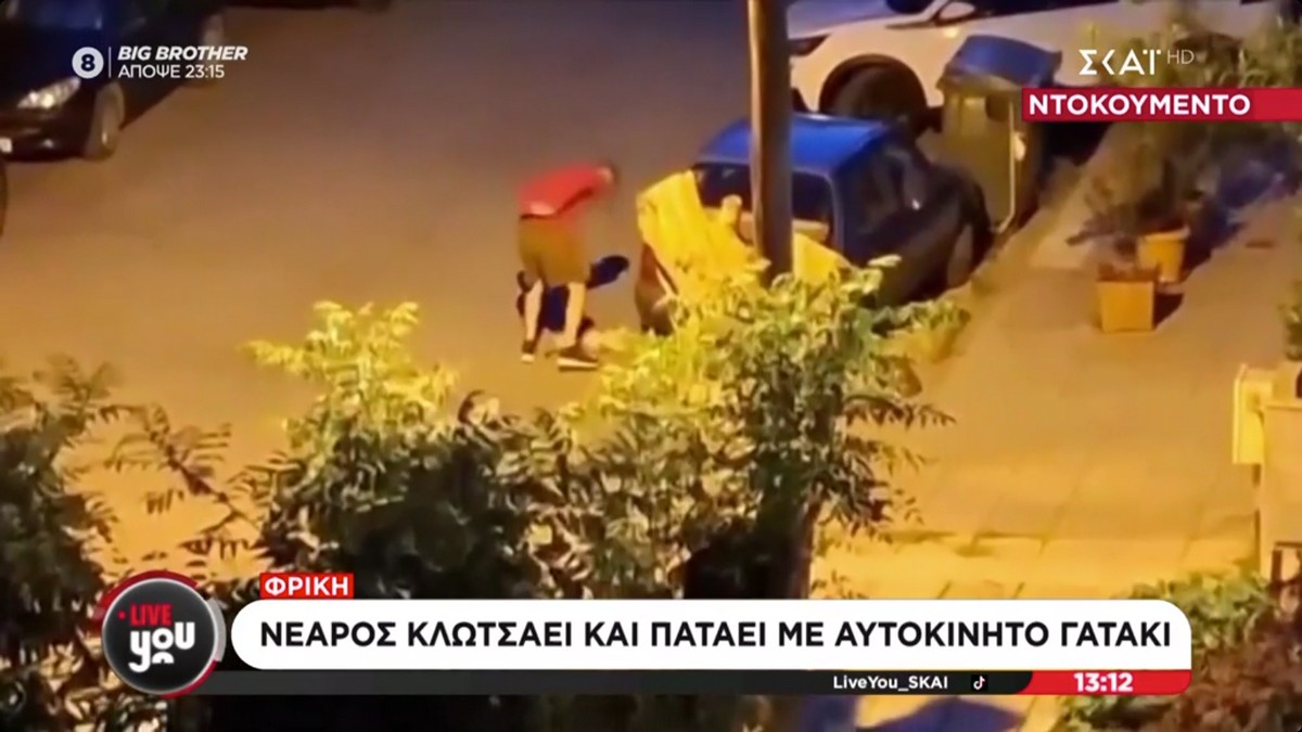 Τι αναφέρει η ΕΛΑΣ για τον 34χρονο που βασάνισε και σκότωσε γατάκι στην Καλαμαριά