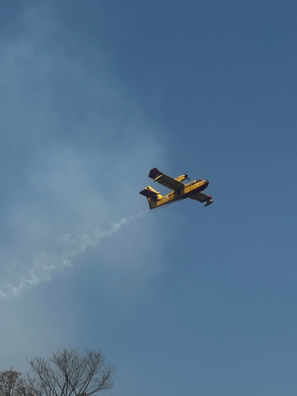 Περιορίστηκε η πυρκαγιά στο Ωραιόκαστρο – Δεν κινδύνευσαν κατοικημένες περιοχες (ΦΩΤΟ+VIDEO)