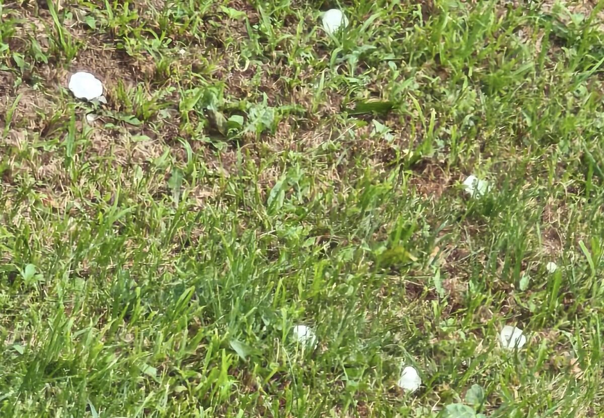 Χαλάζι σε περιοχές των Σερρών και της Δράμας (ΦΩΤΟ+VIDEO)