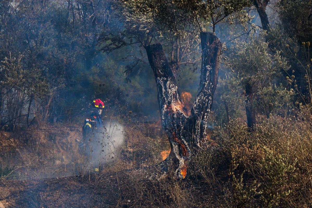 Χίος: Πόσες χιλιάδες στρέμματα κάηκαν από την μεγάλη πυρκαγιά