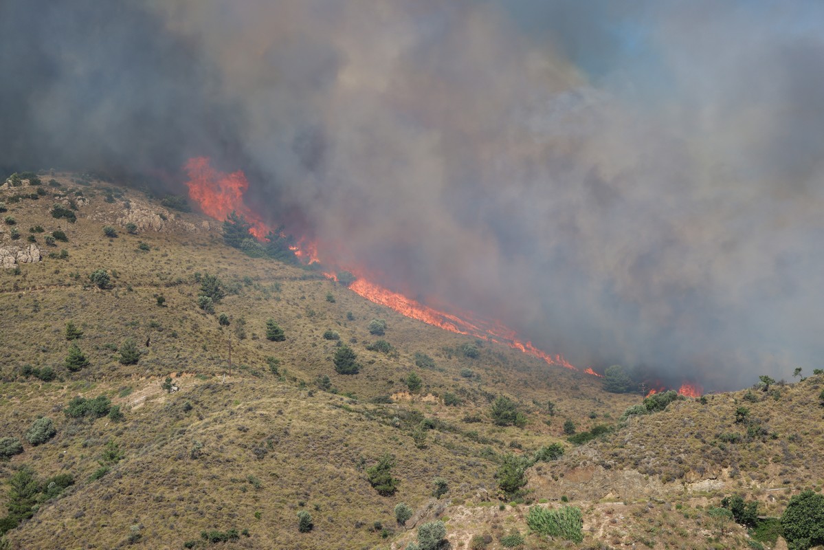Υψηλός κίνδυνος πυρκαγιάς σε Θεσσαλονίκη και Χαλκιδική