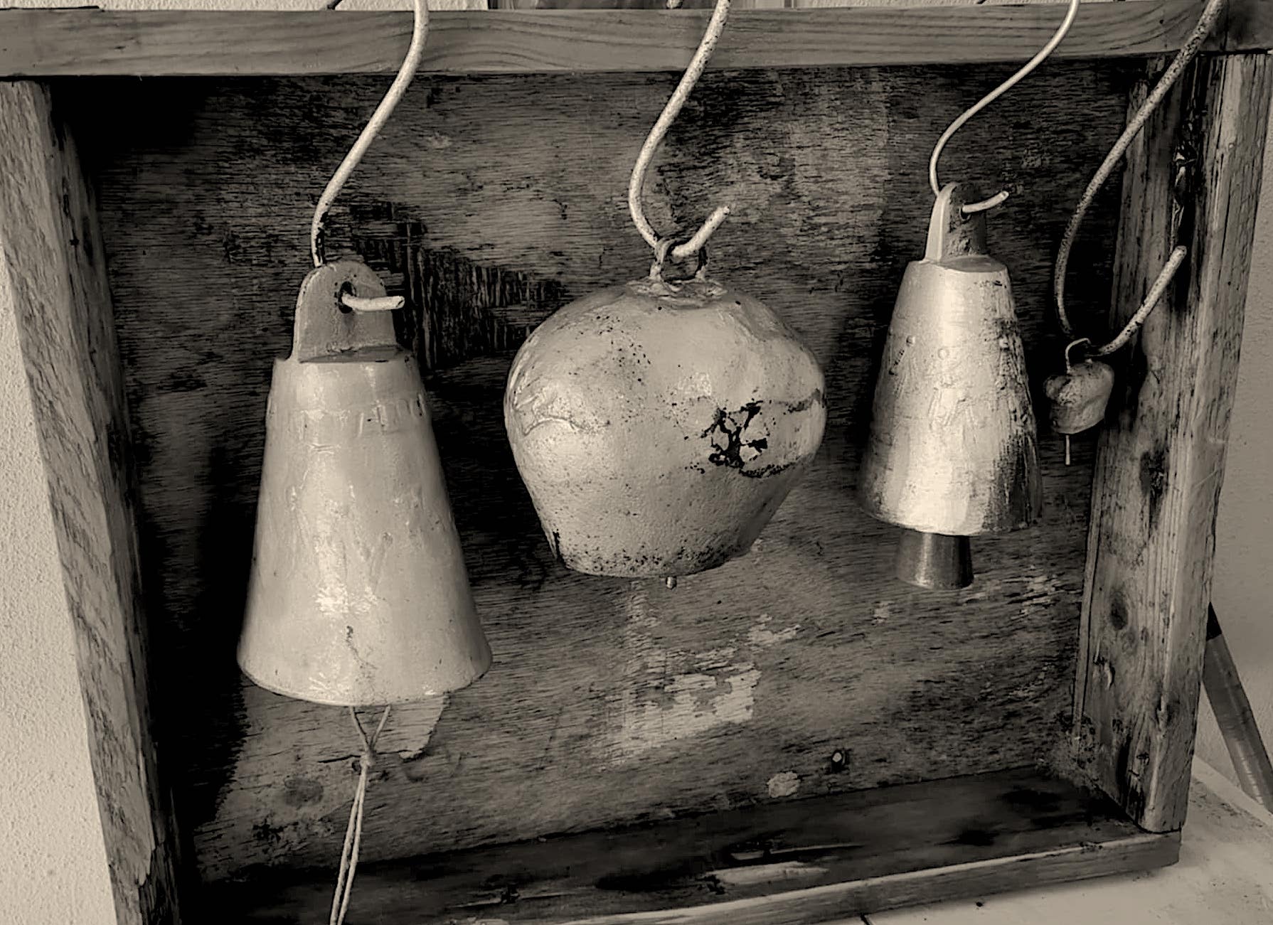 Η Ελλάδα “τιμάται” και στις ετήσιες εκθέσεις της EPPO