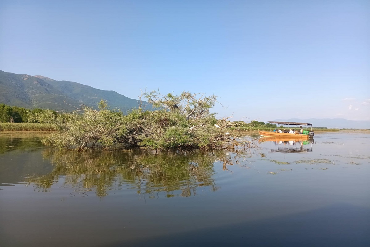 Κερκίνη: Γαλήνιο τοπίο, σπάνια πουλιά και οινοβαρκάδα (ΦΩΤΟ)