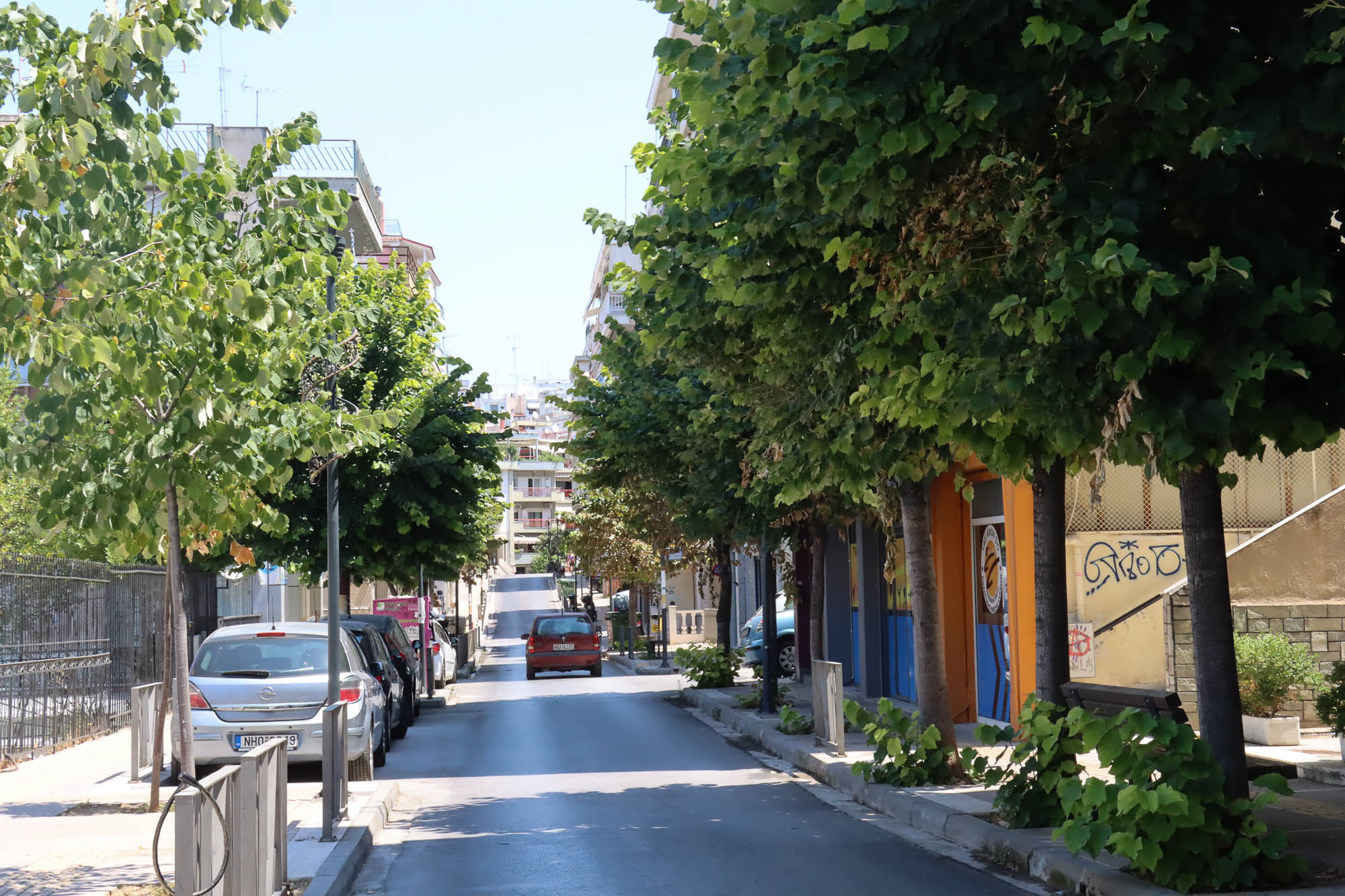 Νεάπολη-Συκιές: Κάλεσμα του δήμου για πότισμα του πρασίνου από κατοίκους και επαγγελματίες (ΦΩΤΟ)