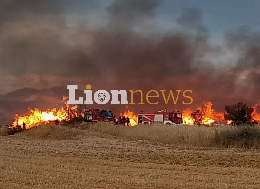Υπό έλεγχο η φωτιά στις Σέρρες (ΦΩΤΟ+VIDEO)