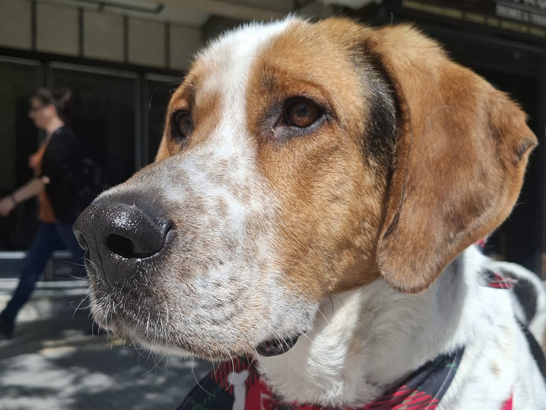 Ο Κύκλος της Προσφοράς: Μία πράξη εθελοντισμού, αμέτρητα οφέλη!