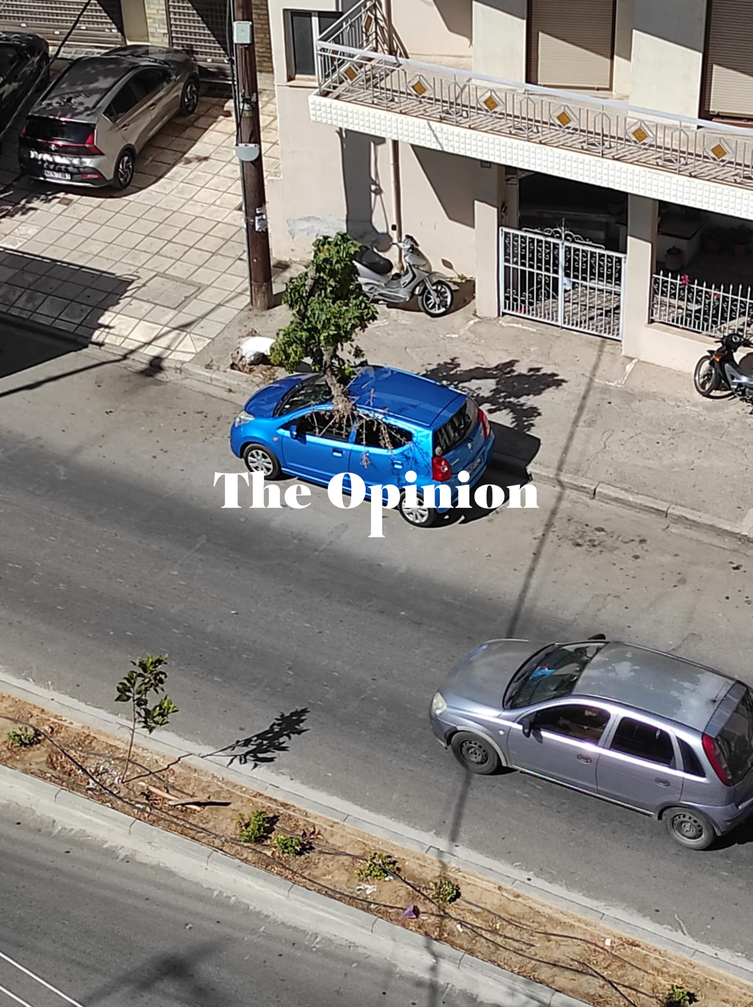 Θεσσαλονίκη: Δέντρο έπεσε σε αυτοκίνητο (ΦΩΤΟ)