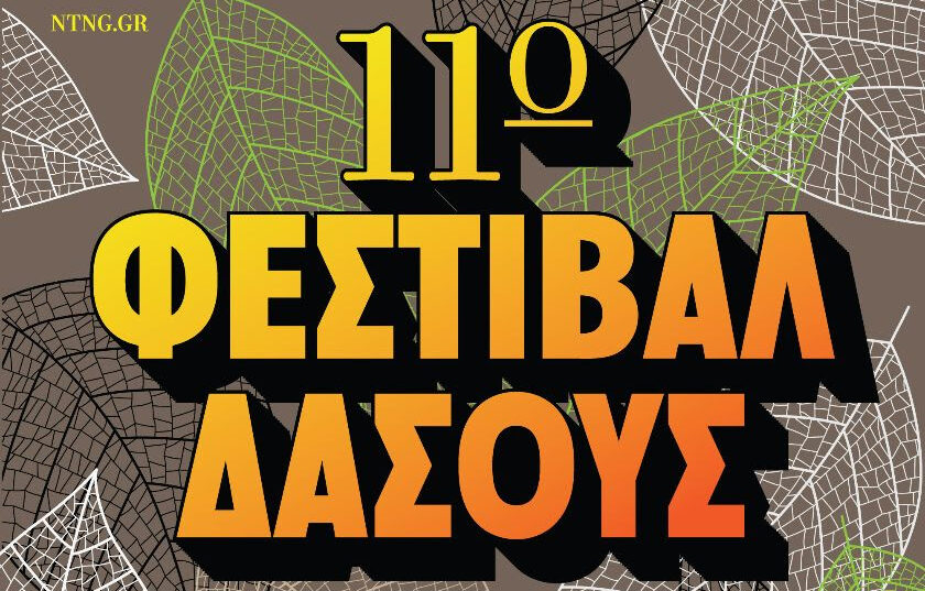 11ο Φεστιβάλ Δάσους: Η μεγάλη καλοκαιρινή γιορτή της Βορείου Ελλάδος