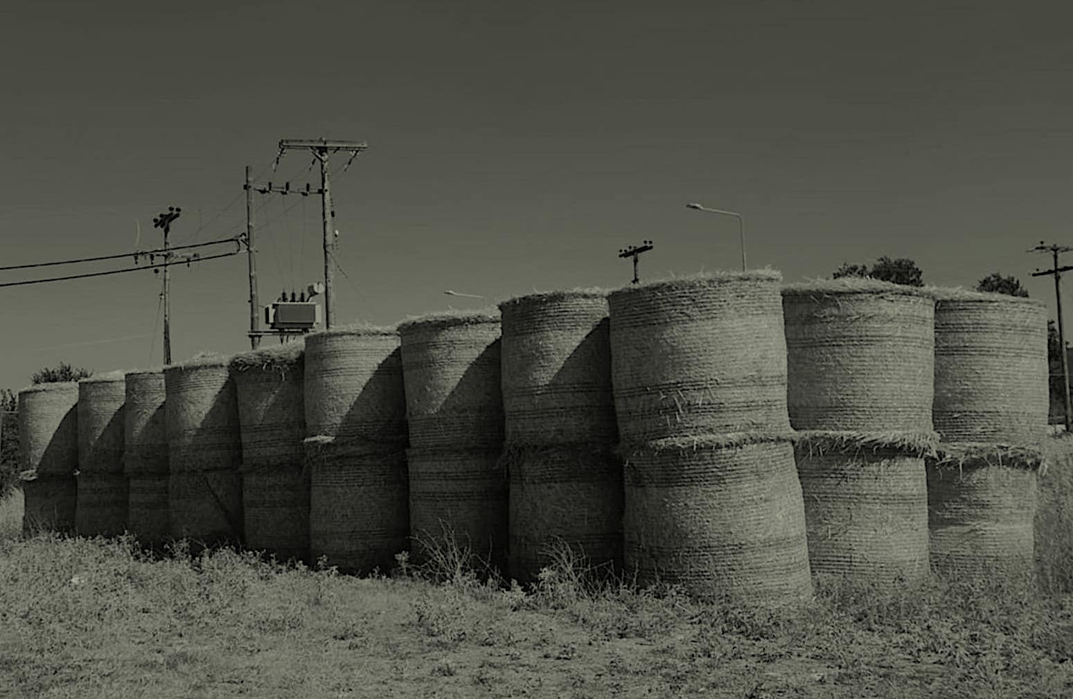 “Στο μικροσκόπιο” όλοι οι φορείς του αγροτικού τομέα μετά τον ΟΠΕΚΕΠΕ;