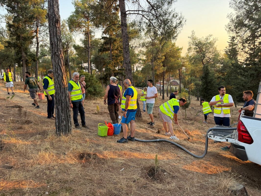 Η απάντηση του δήμου Θεσσαλονίκης για τα δέντρα και το πότισμα