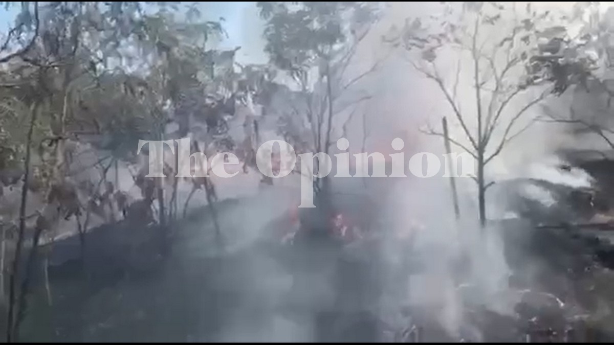 Μικρής έκτασης η φωτιά δίπλα σε σούπερ μάρκετ στη Νέα Μηχανιώνα (VIDEO)