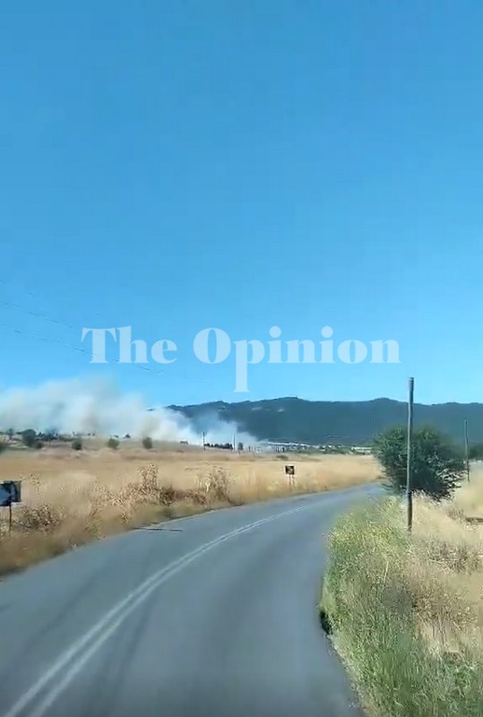 Καλύτερη η εικόνα της φωτιάς στο Μεσαίο – Αποχώρησαν ορισμένες δυνάμεις της πυροσβεστικής (VIDEO)