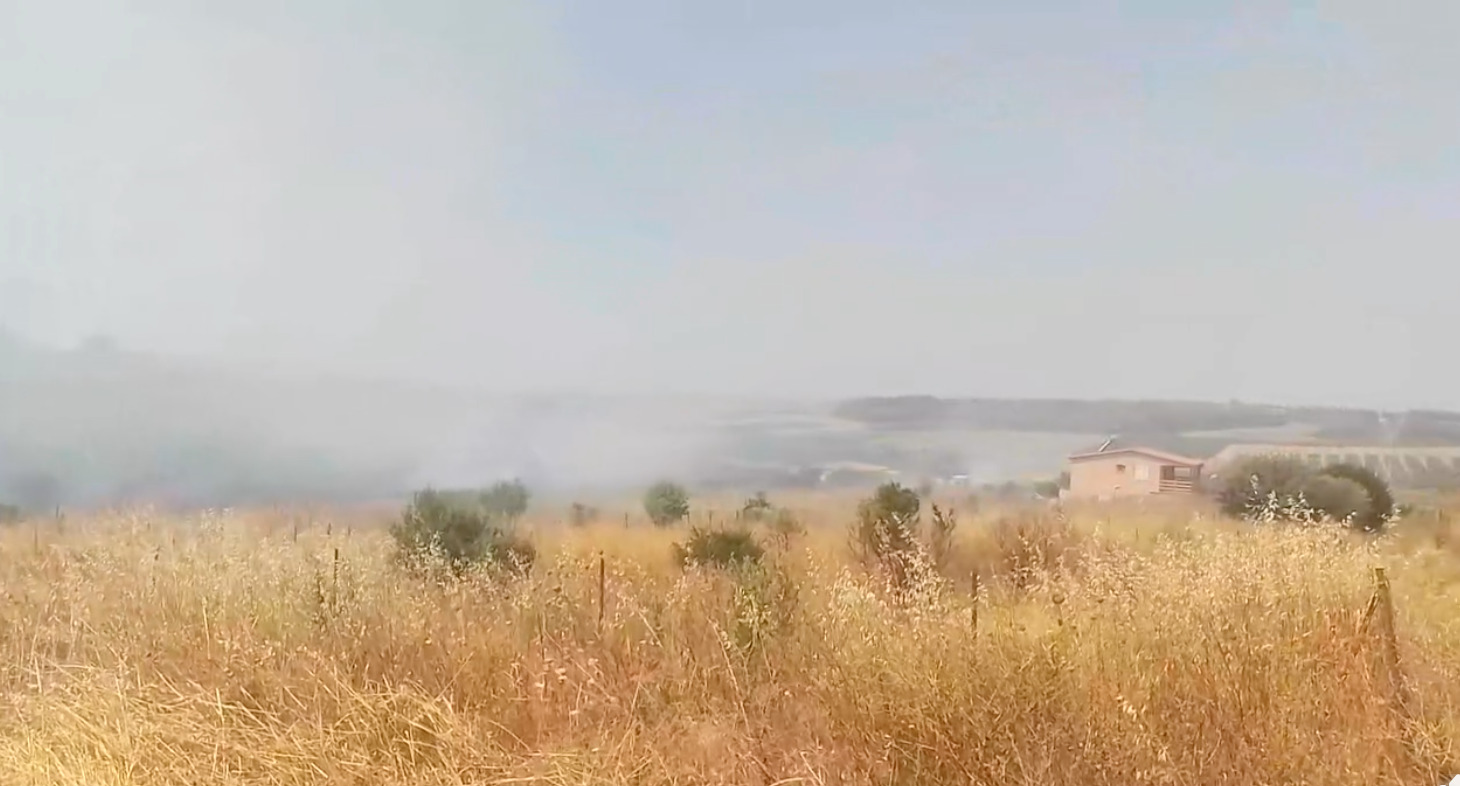 Φωτιά στη Νέα Φώκαια Χαλκιδικής – Άμεση κινητοποίηση της Πυροσβεστικής (VIDEO)