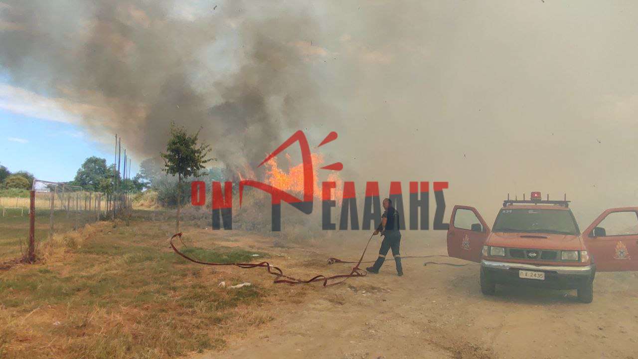 Πιερία: Κατεσβέσθη φωτιά σε χορτολιβαδική έκταση (ΦΩΤΟ)