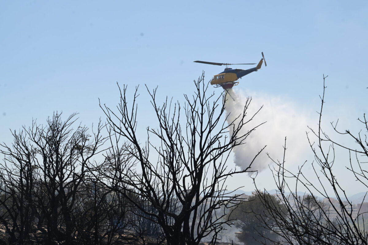 Μειώνεται κατά 88% ο κίνδυνος μεγάλων πυρκαγιών με την προληπτική διαχείριση των δασών