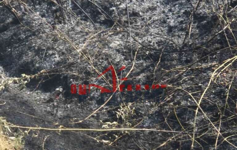 Μεγάλη δασική πυρκαγιά στην Πιερία – Επιχειρούν επίγειες και εναέριες δυνάμεις (ΦΩΤΟ+VIDEO)