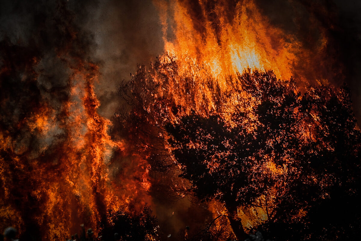 Το Δημόσιο δεν χρειάζεται άλλους υπαλλήλους, μα νέο εξοπλισμό