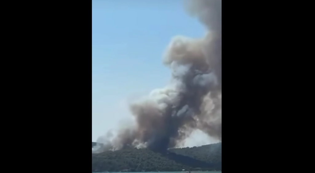 Χαλκιδική: Μία σύλληψη για την πυρκαγιά στη Βουρβουρού