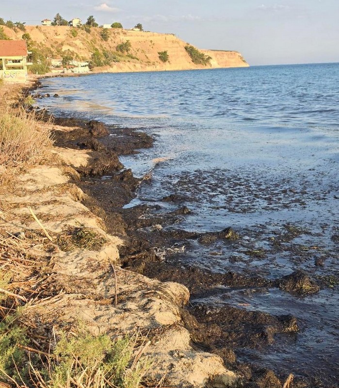 Θεσσαλονίκη: «Εστία ρύπανσης οι πρώην κατασκηνώσεις ΠΙΚΠΑ στην Αγία Τριάδα»