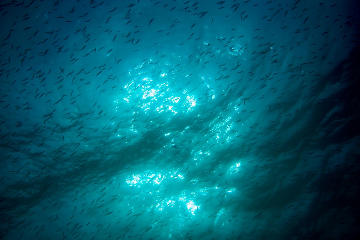 Ηλεκτρική διασύνδεση Ελλάδας-Κύπρου: Οι νέοι παίκτες και τα γεωπολιτικά οφέλη – Όσα πρέπει να γνωρίζουμε