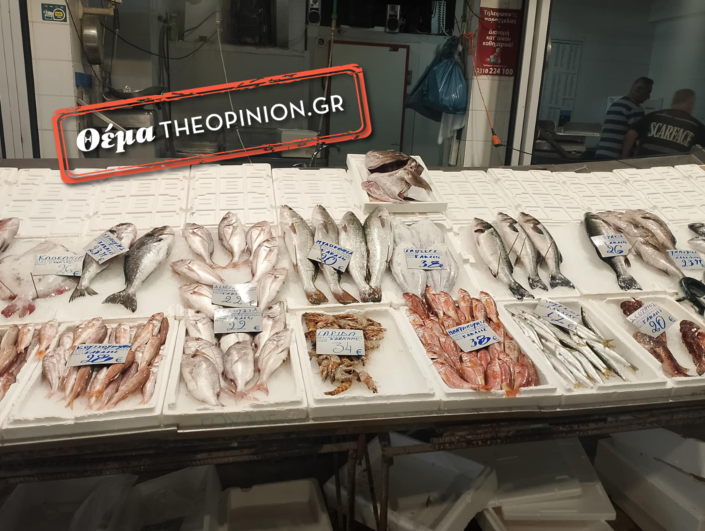 Οι ψαριές αδειάζουν, οι τιμές εκτοξεύονται: Τα ψάρια είδος πολυτελείας για το  τραπέζι