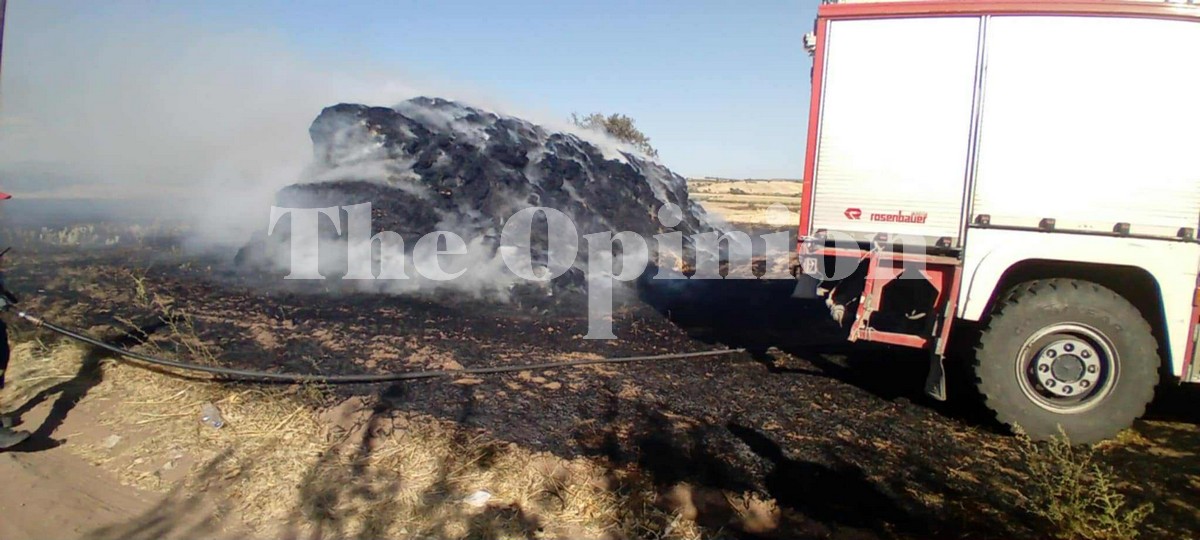 Φωτιά σε ξερά χόρτα στην Επανομή – Συνδρομή από εθελοντές του ΟΦΚΑΘ (ΦΩΤΟ)