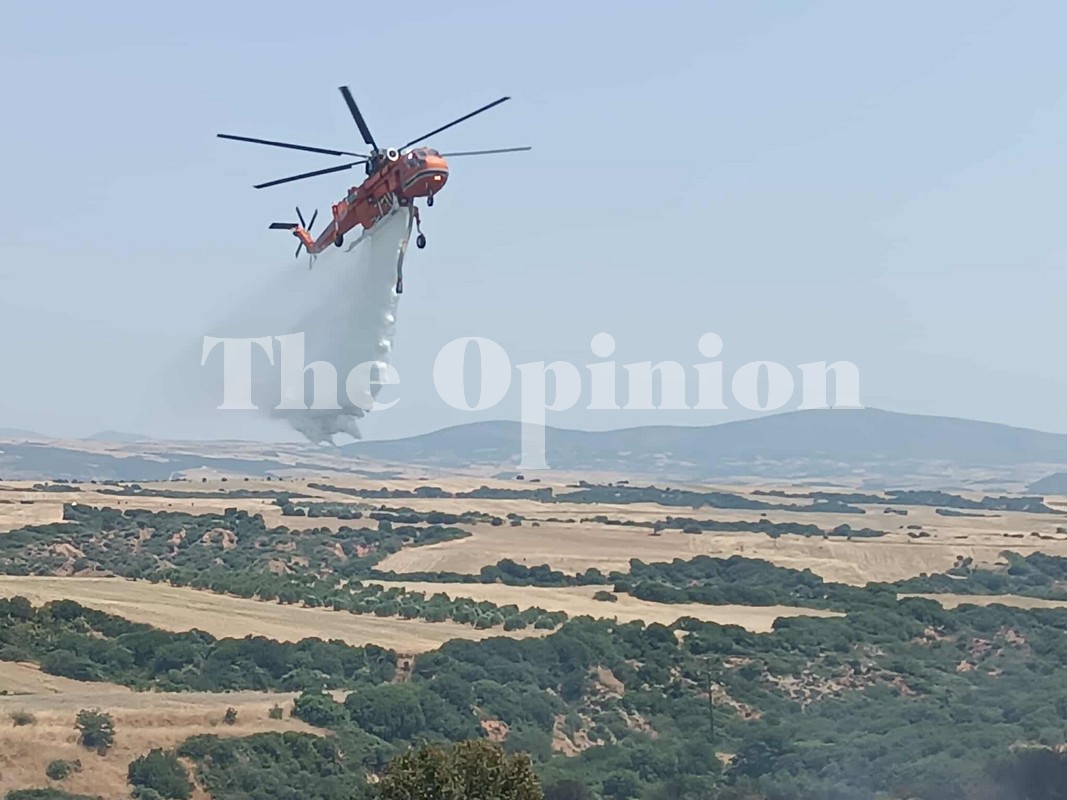 Υψηλός κίνδυνος πυρκαγιάς αύριο σε Θεσσαλονίκη και Χαλκιδική