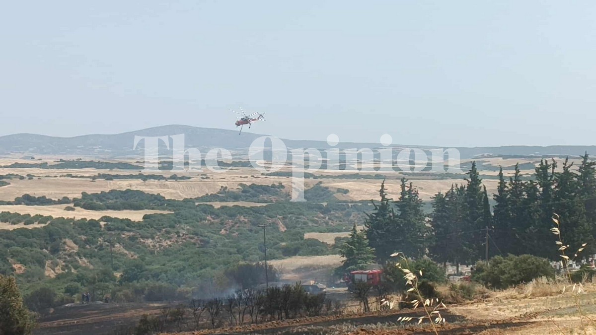 Πολύ υψηλός κίνδυνος πυρκαγιάς αύριο στη Χαλκιδική – Τι ισχύει για τη Θεσσαλονίκη