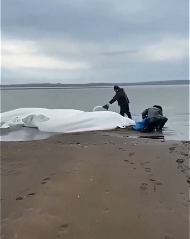 Στιγμιότυπο βίντεο