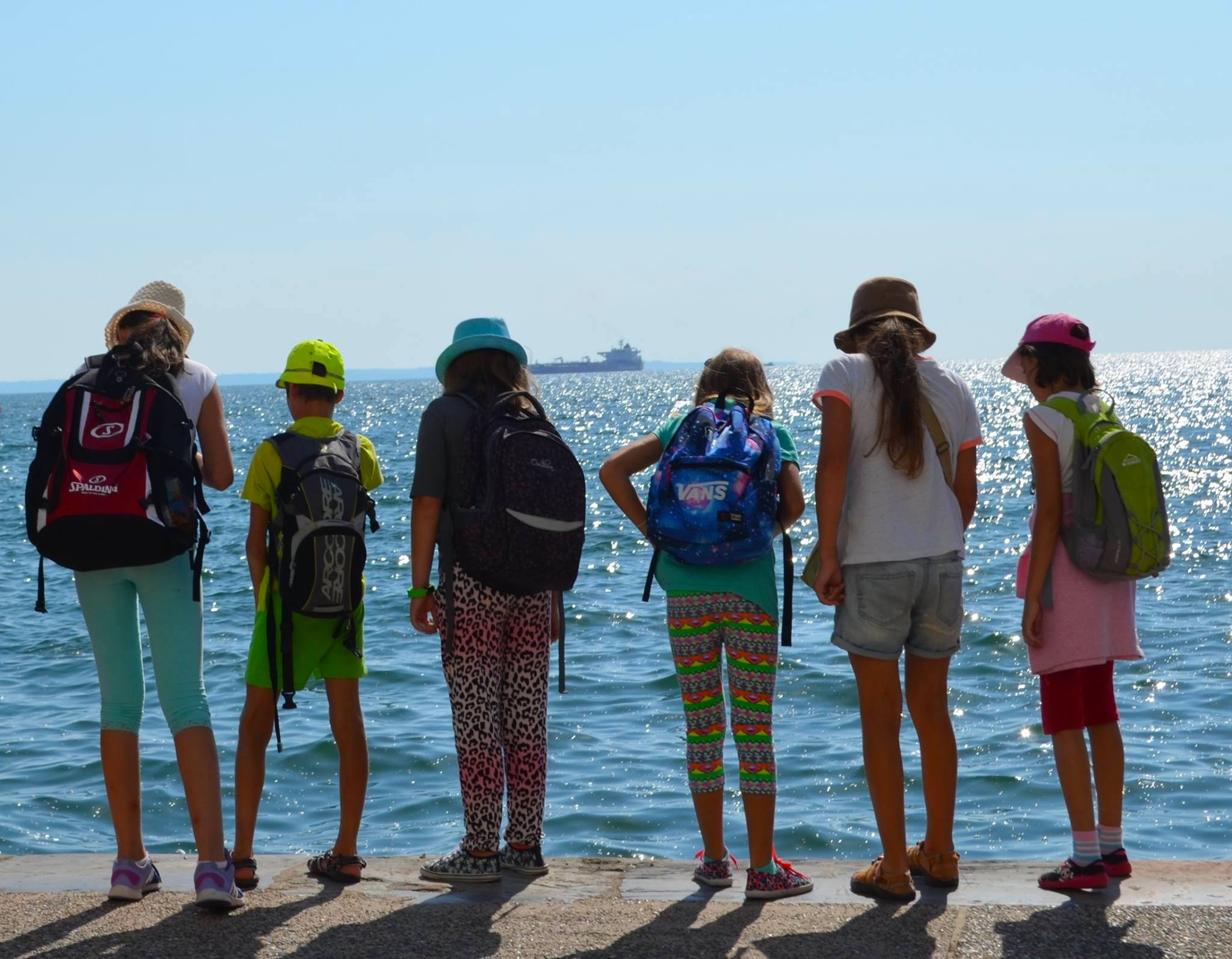 Το “πάρτι των… κουνουπιών” στην ήπειρο που θερμαίνεται γρηγορότερα